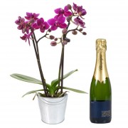 Orchidée et Champagne