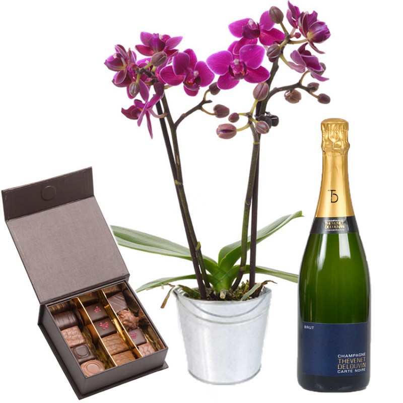 Envoyer fleurs, chocolats et champagne - Cadeau fleurs et chocolats D'lys  couleurs