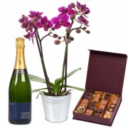 Orchidée, chocolats et champagne