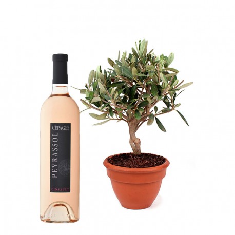 Olivier et Vin rosé