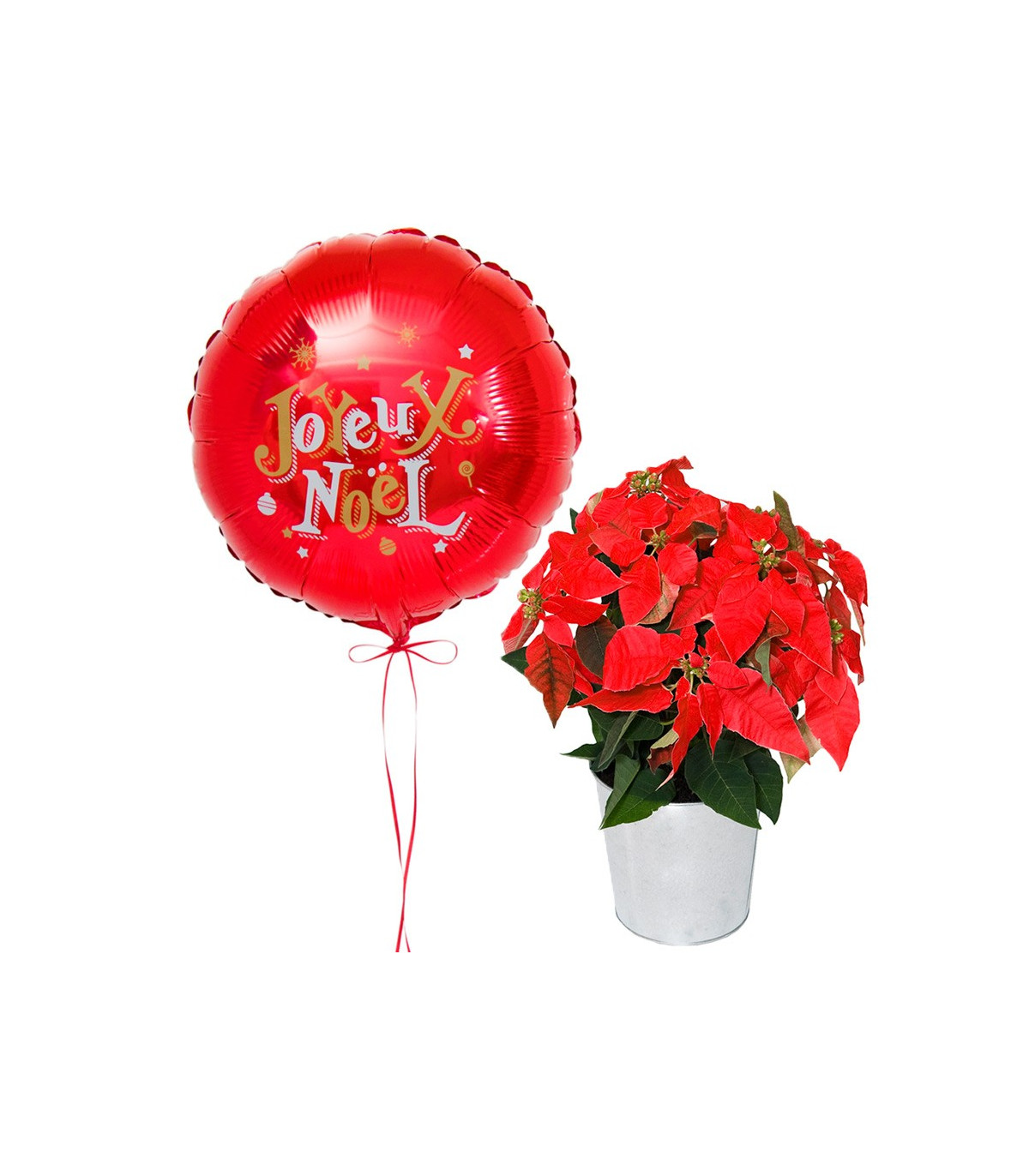 Ballon et Fleurs de Noël - Cadeau original de noël D'lys couleurs