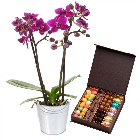 Orchidée et chocolats de Pâques