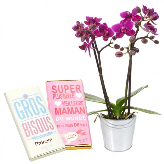 Orchidée et Chocolats