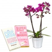 Orchidée et Chocolats