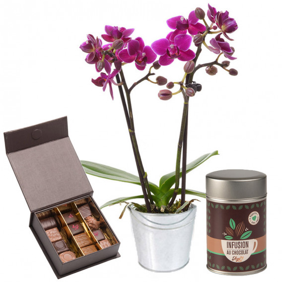 Orchidée, chocolats et infusion