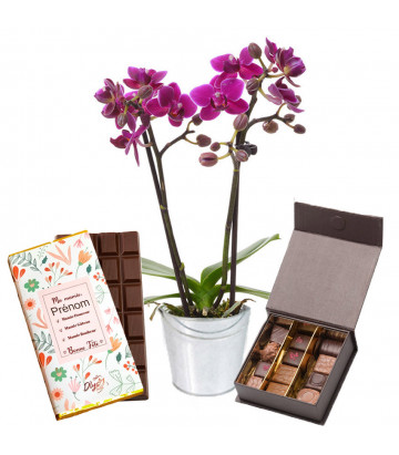 Orchidée et chocolat