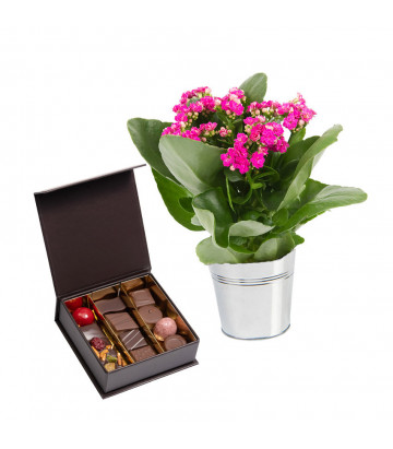 Pot de fleurs et chocolats