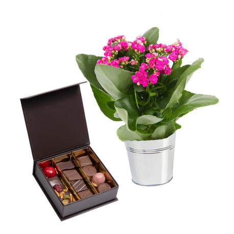 Pot de fleurs et chocolats