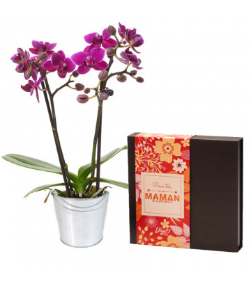 orchidée et chocolats