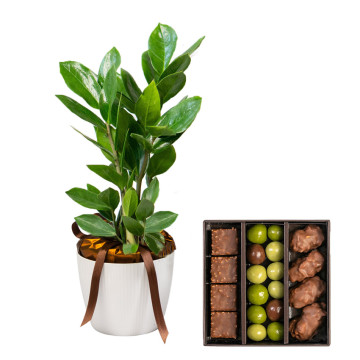 livraison cadeau chocolat