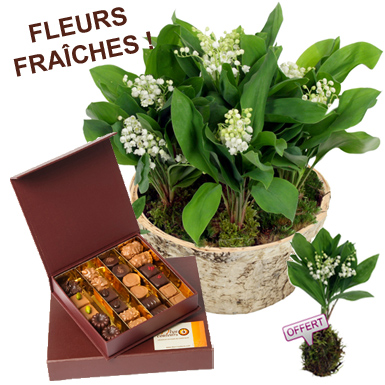 muguet et chocolat