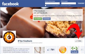 page-fb page facebook d'lys couleurs